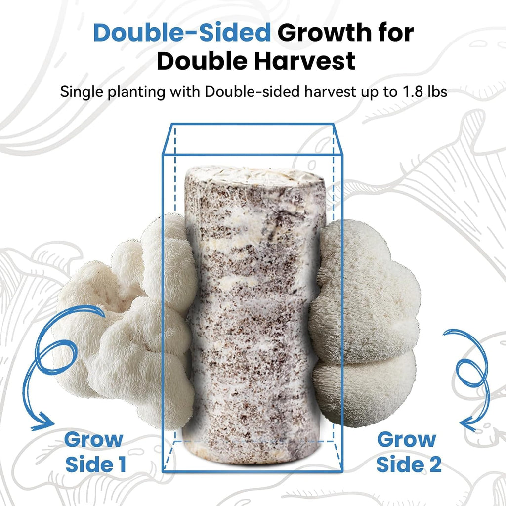 USA Organic 4lbs Lion's Mane Mushroom Growing Kit, Non-GMO | Double-Side Mushroom Grow Kit, Harvest Gourmet Mushrooms