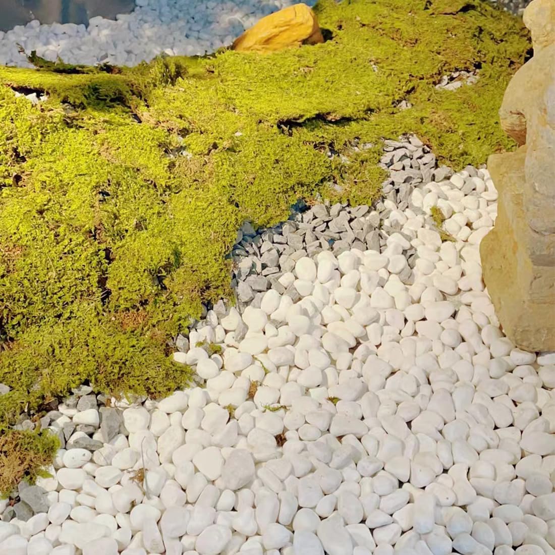 20lb White River Rocks for Landscaping, 2-3 Inch Natural Pebbles for Indoor Plants, Snow White Decorative Stones, Ideal