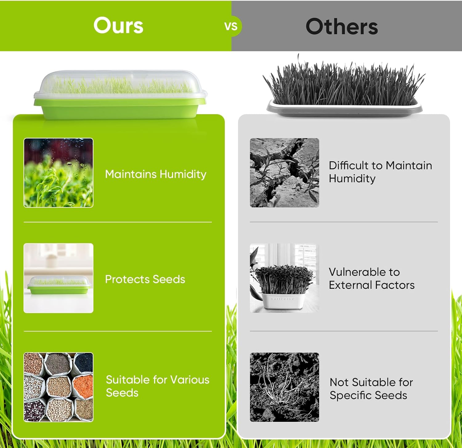 12 Pack Green Seed Sprouter Trays with Lid, Soil-Free Cultivation Germination Tray, Fodder Sprouting Trays Nursery Tray