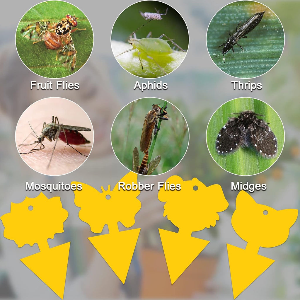 Yellow Sticky Traps for Gnats Fungus Fruit Fly Traps for Indoors Bug Thrip Catcher for Whitefly,Fungus Gnat,Mosquito