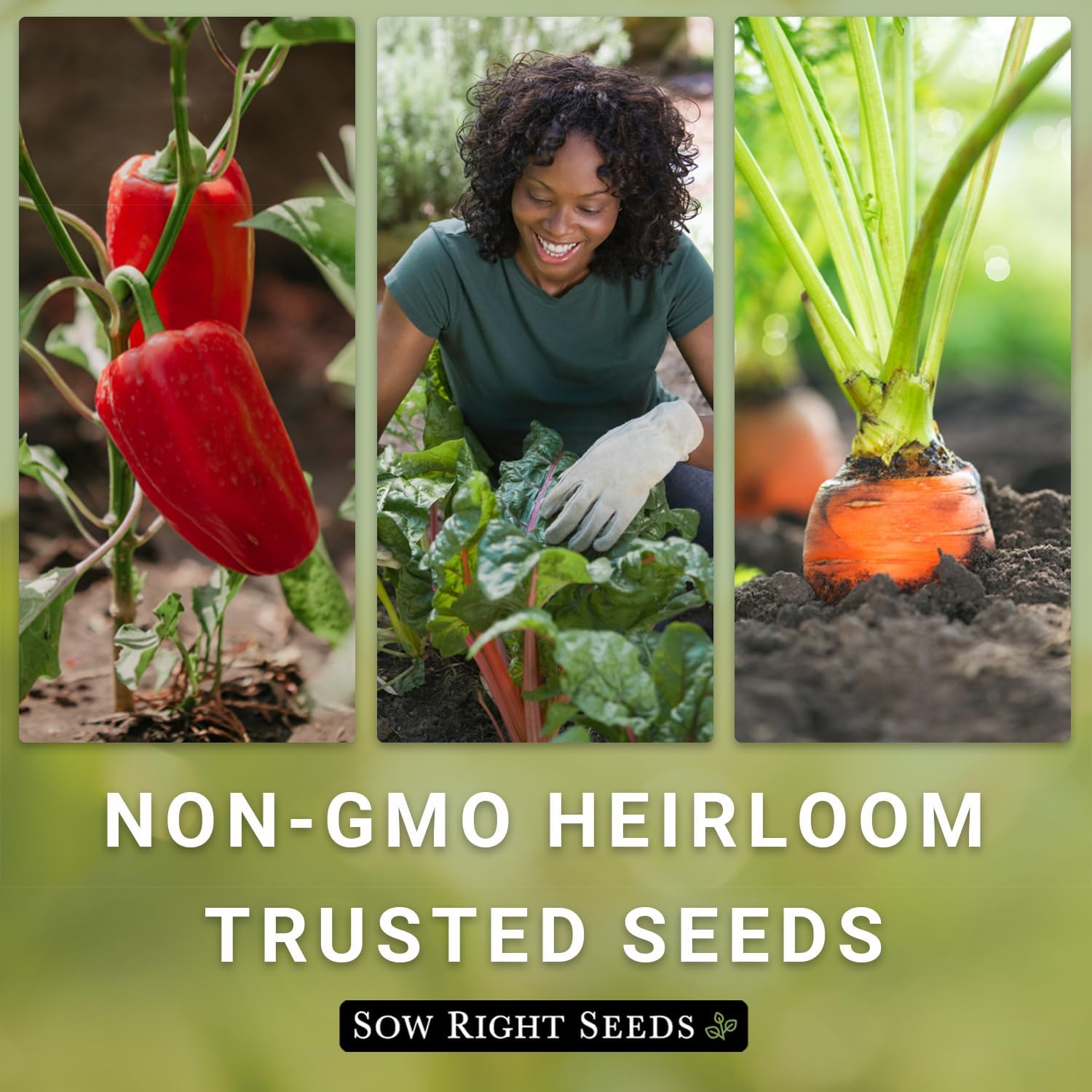 Sow Right Seeds - Complete Garden Seed Collection for Planting at Home | Includes vegetables, herbs, and flowers. Plant