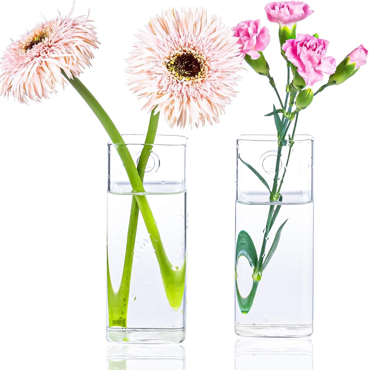 Square Glass Propagation Vase 4 Pack, Wall Hanging Hydroponic Planter | Borosilicate glass, clear & sturdy. Wall-mount.