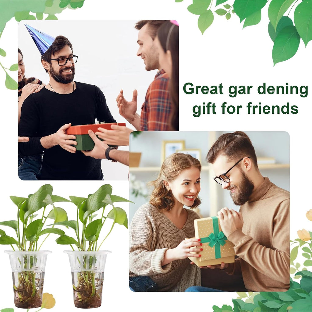 50 Pack Plastic Nursery Pots for Plants Terrarium Plant Propagation Station Tabletop Planting Vase with Hydroponic