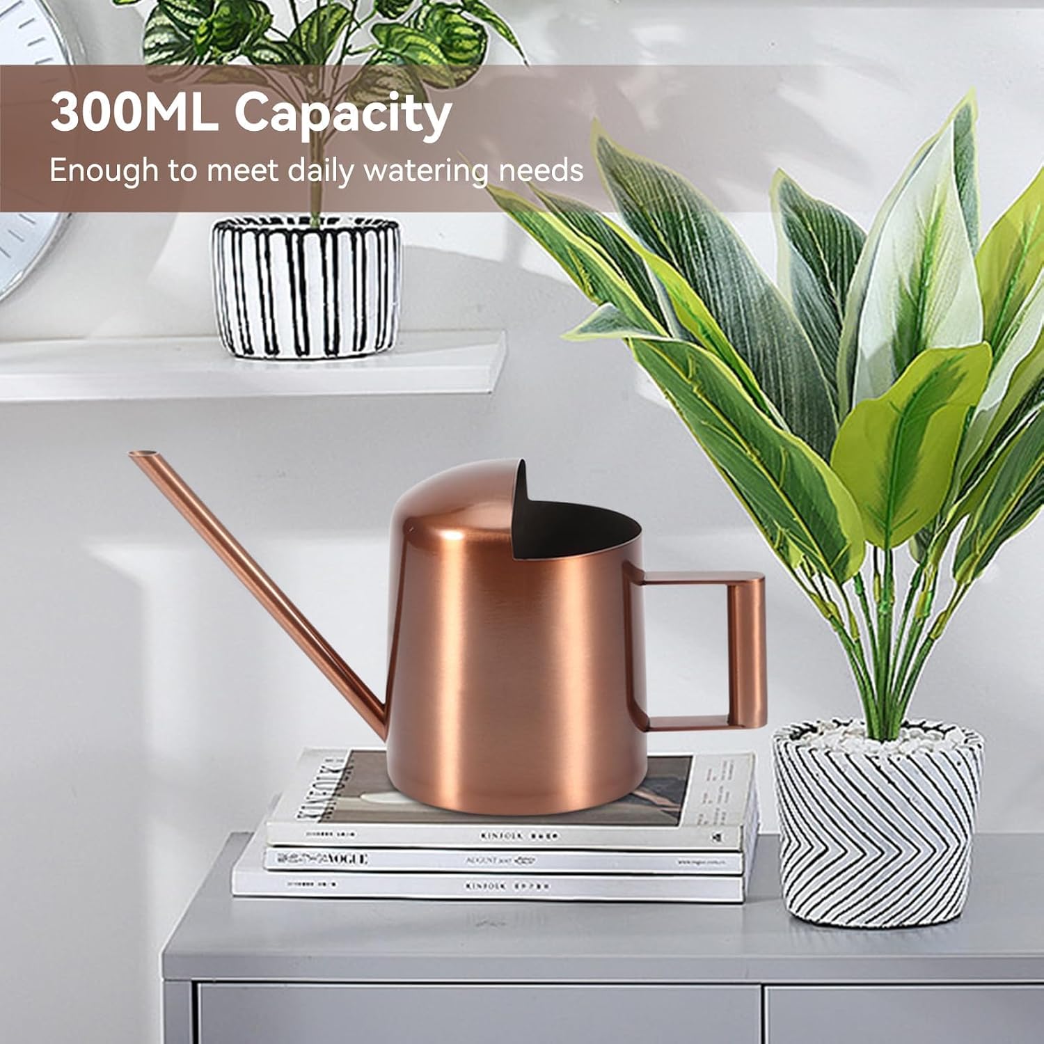 10oz/300ml Watering Can Indoor Plants, Long Spout Small Watering Sprinkling Pot Mini Stainless Steel Water Can Garden