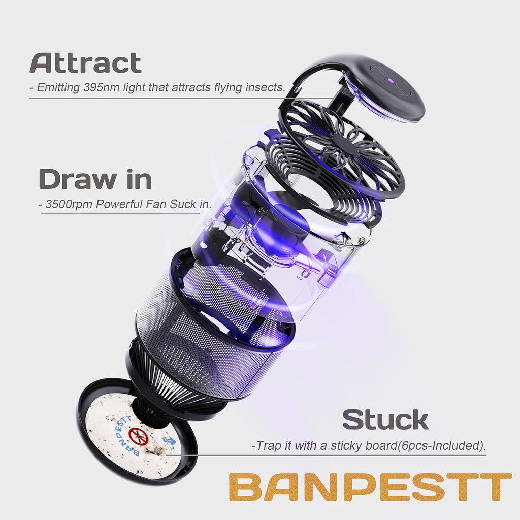 BANPESTT Indoor Insect Trap with Dusk-to-Dawn Sensor, US Adapter | Non-Zapper Suction Trap for Fruit Flies, Gnats