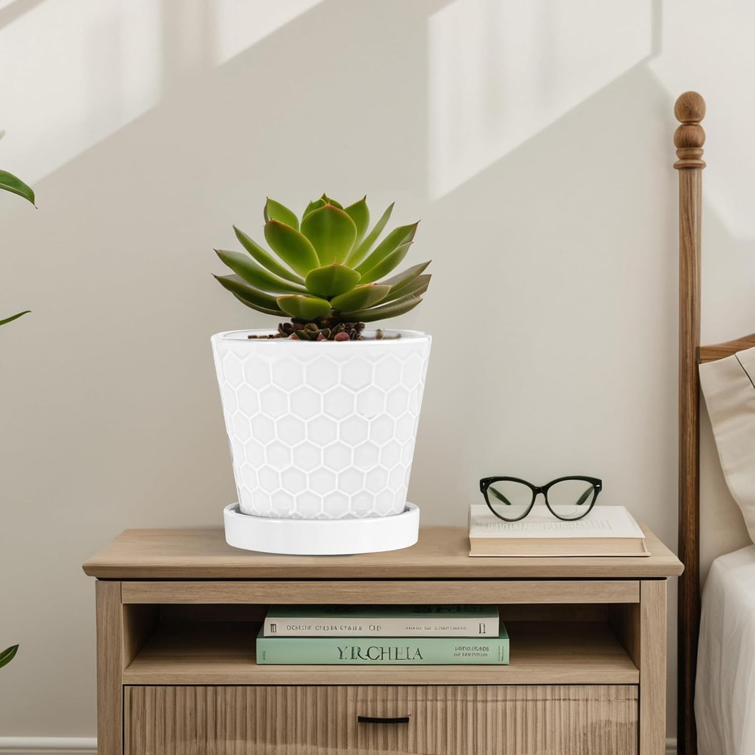 BUYMAX 6 Inch Plant Pot Ceramic Flower Pots Set of 2 with Drainage Hole | Includes Ceramic Trays | Clean White Finish