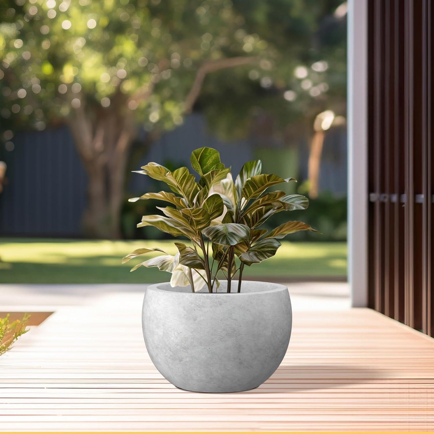 Kante Accent Round Bowl Pale Gray Concrete Planter 15.7" Dia, Outdoor | Rubber Plug for Indoor, Drainage for Garden