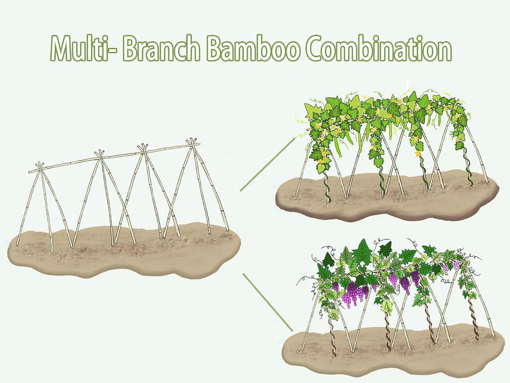Plant Bamboo Post,4Feet,65Pcs,Bamboo Garden Stakes,Bamboo Stakes,for Tomato,Beans,Vegetable and Flowers, Potted