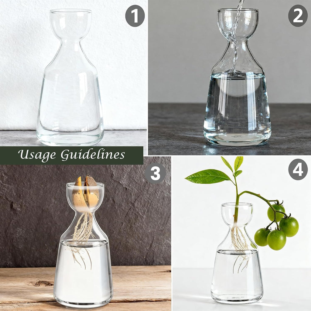 Glass Avocado Tree Growing Kit Seed Starter Flower Vases | 3 Pcs Acorn Plant Pot, Small Glassware Planter, Home Table