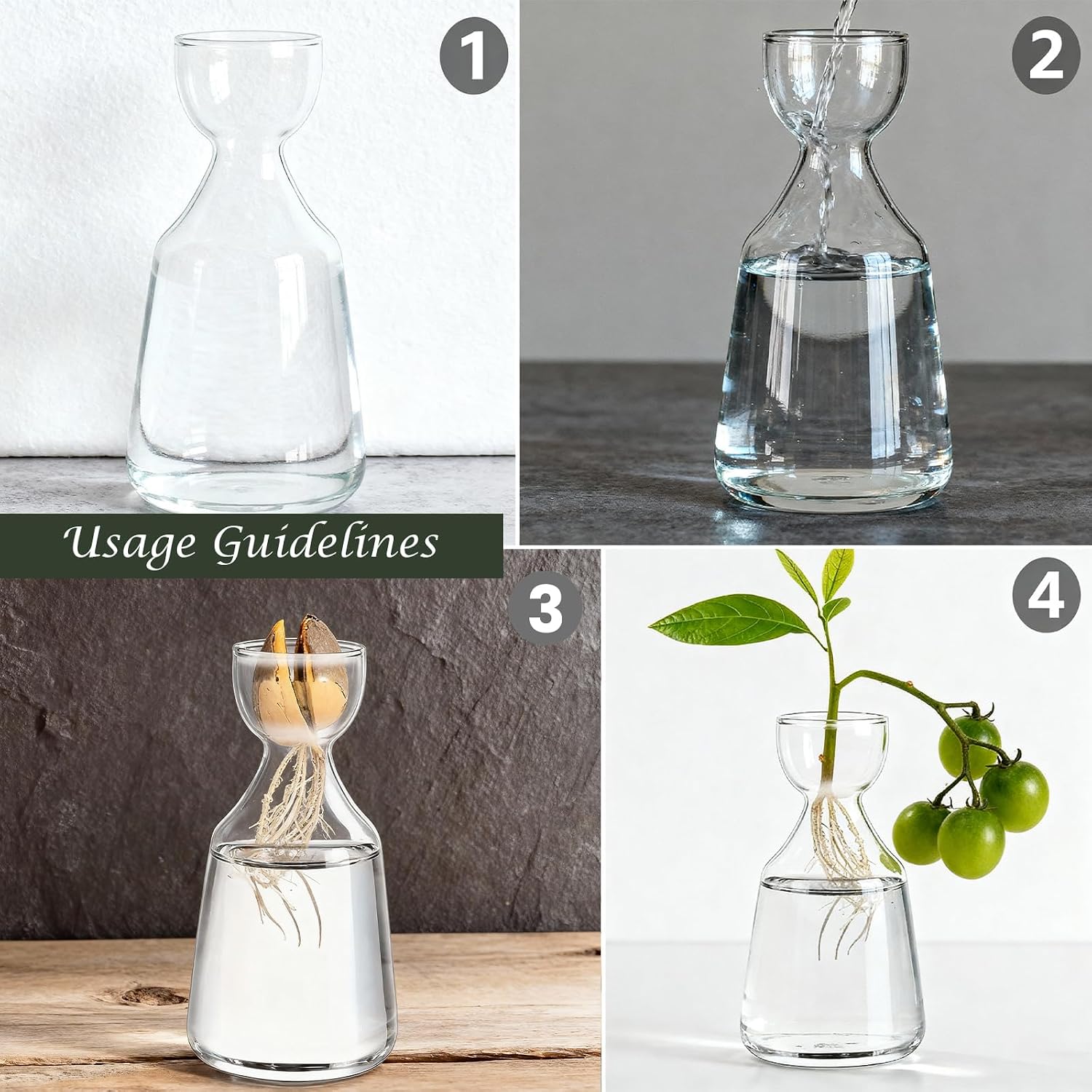 Glass Avocado Tree Growing Kit Seed Starter Flower Vases | 3 Pcs Acorn Plant Pot, Small Glassware Planter, Home Table