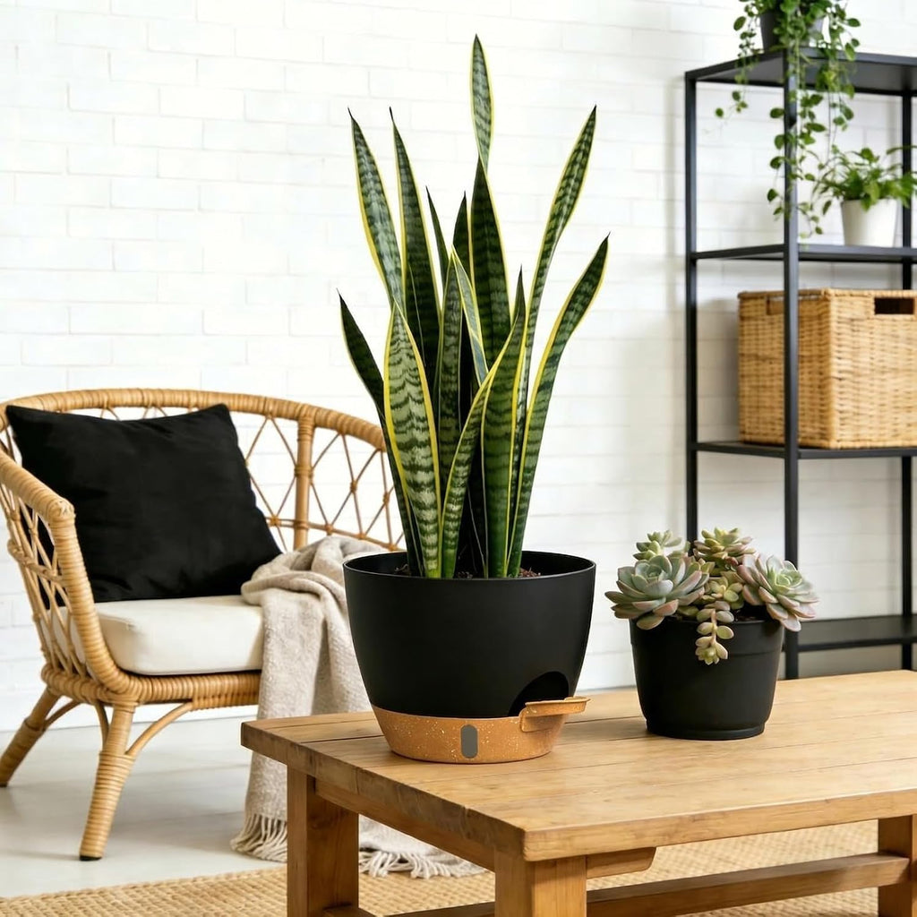 Self Watering Pots with Drainage Holes, 3 Pack 12/10/8 Inch Plant Pots with Water Level Indicator Deep Reservoir, Large