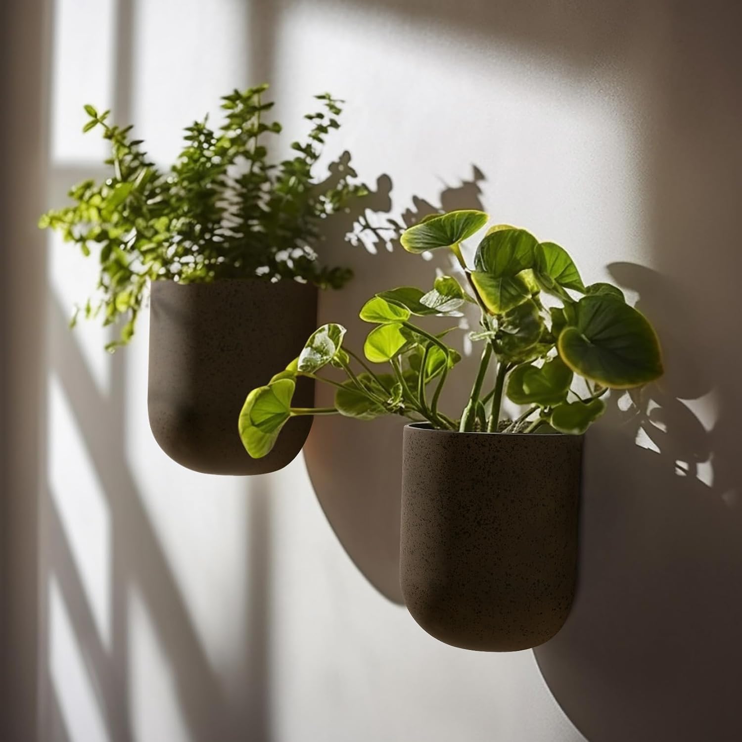 LA JOLIE MUSE Wall Planters for Indoor Plants, Hanging Flower Pots, 2 Pack | Wall Hanging Planters, Decorative Wall