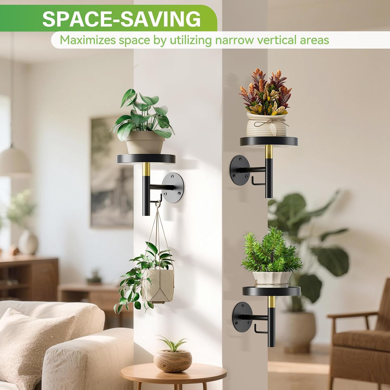 DELLAN Wall Plant Holder, 3 Pack Metal Stand, BlackGold | Hanging Shelves, Indoor Plants, Window Sill Decor, Multi-Room