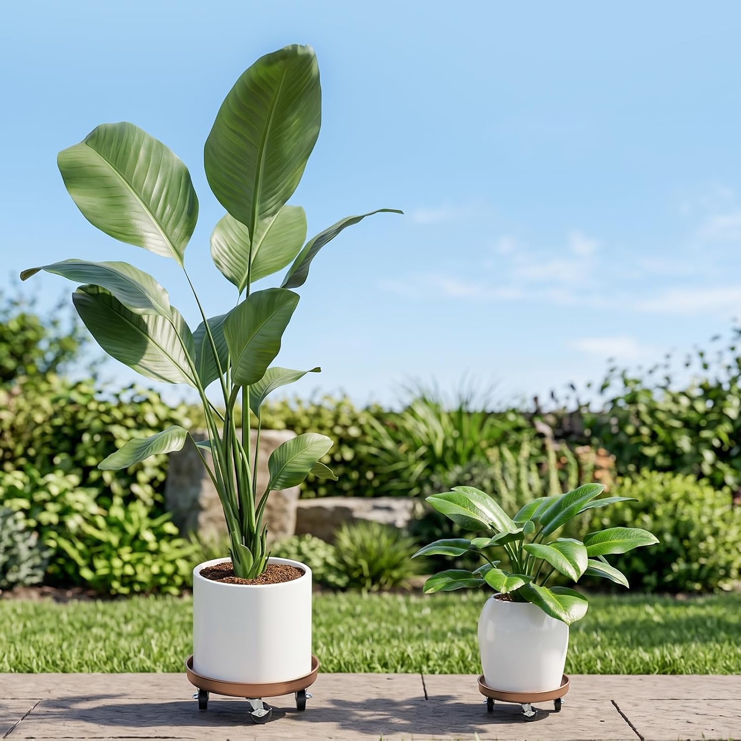 Plant Caddy With Wheels 12" Metal Plant Saucers for Indoors 310 Lb Capacity | Rolling Plant Stand, 360° Locking Casters