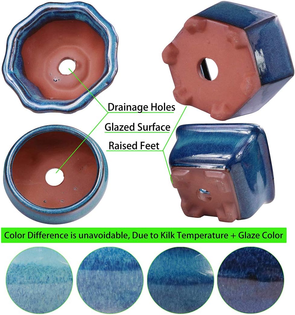MUZHI 6PACK Glazed Bonsai Pot Planter 3" 4” Small Succulent Pots, Yixing Zisha Decorative Mame Bonsai Training Pot or