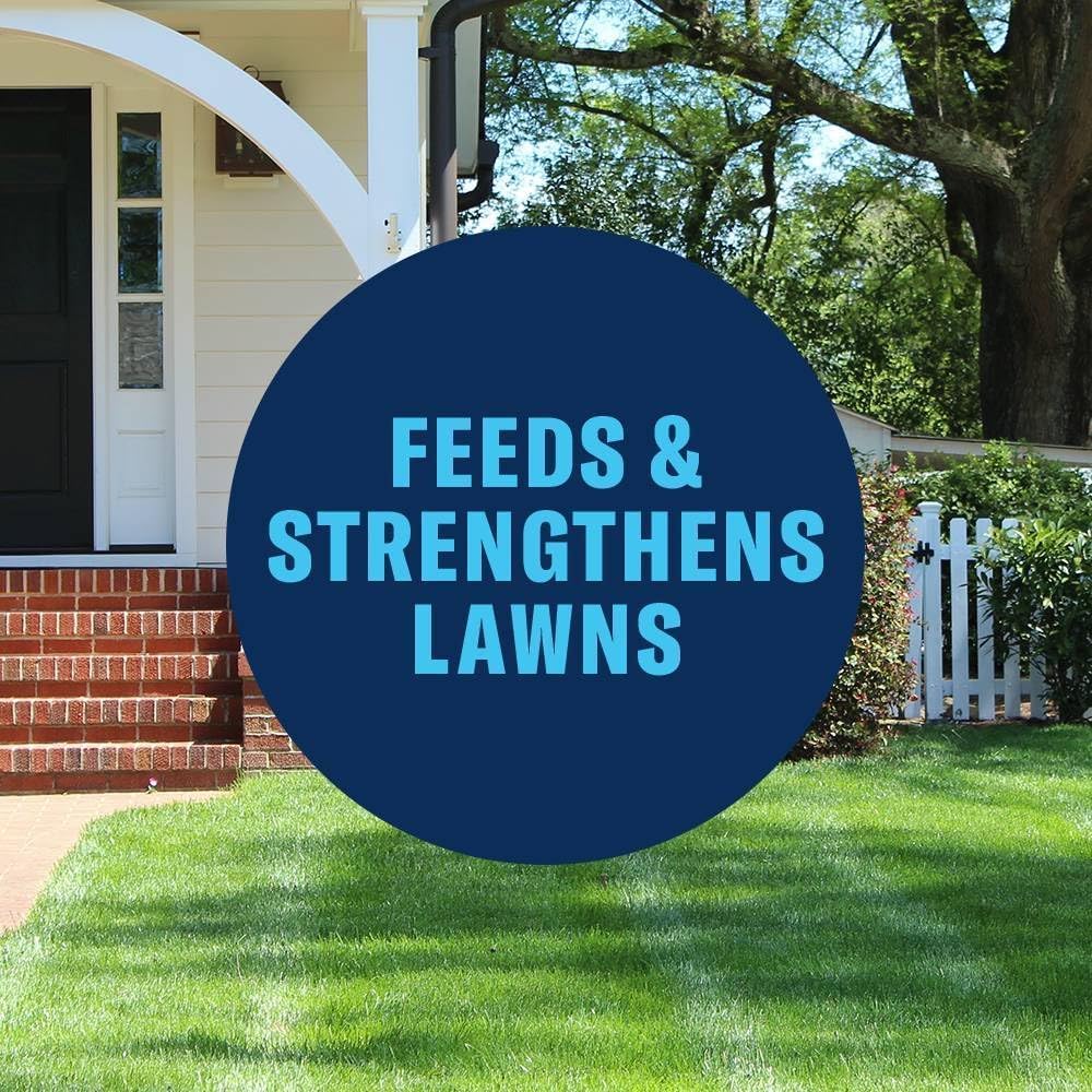 BioAdvanced 3-in-1 Weed and Feed Granules for Southern Lawns - 10 lb Bag | Kills & Prevents Lawn Weeds, Feeds &