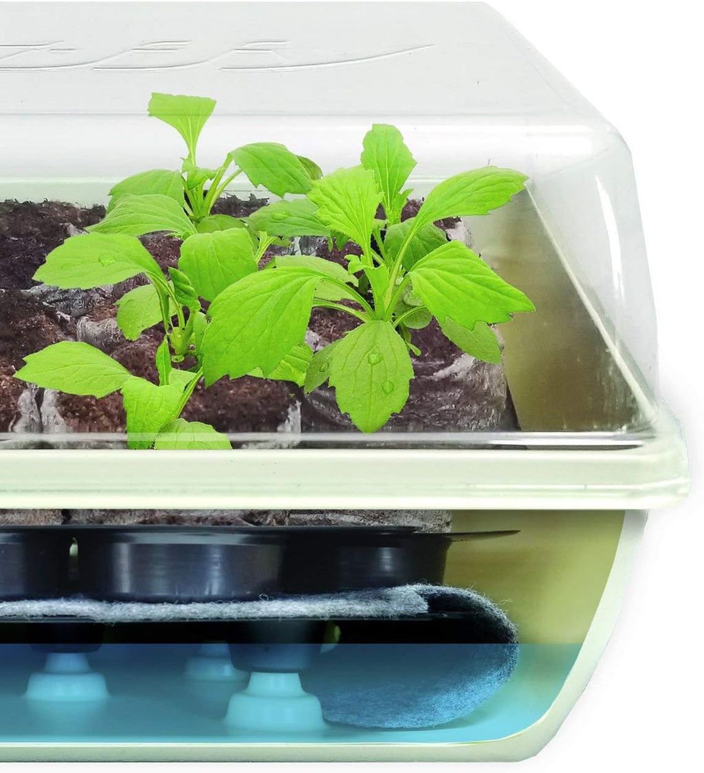 Jiffy Seed Starter Tray Kit, Self-Watering, Seedling Tray, 2 Pack