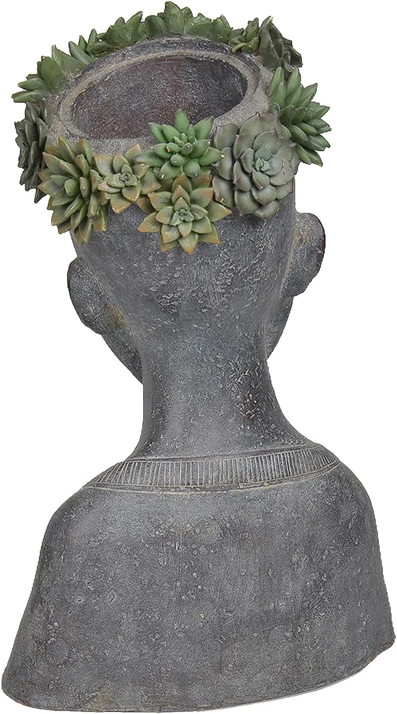 Newman House Studio Face Cactus Succulents Planter Pot - Indoor Outdoor Planter with Drainage Hole Garden Statues Cute
