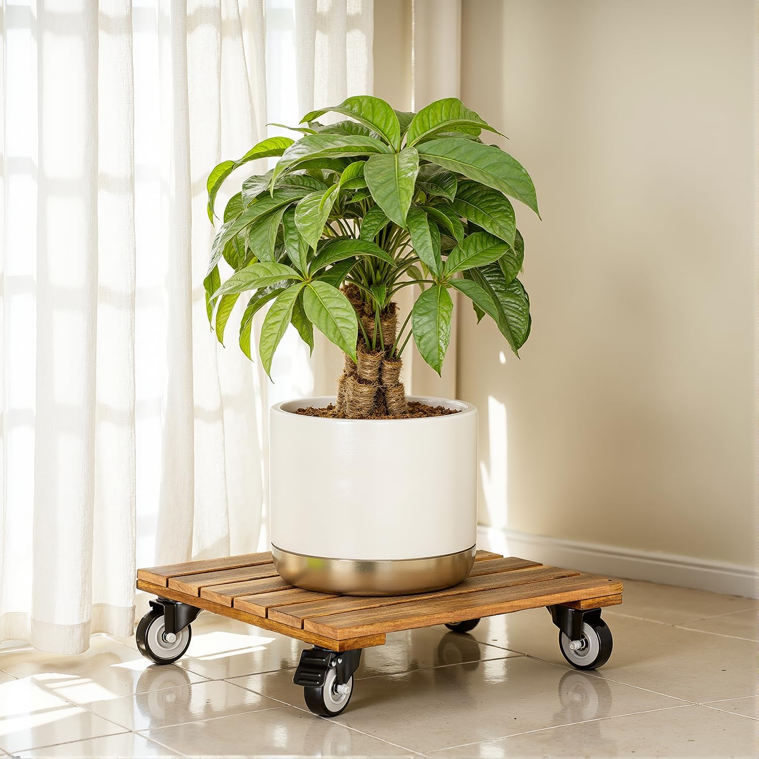 2pack Wood Plant Caddy With Wheels Heavy Duty, 264 Lbs Capacity, Upgraded 12 Inch Acacia Hardwood Plant Dolly, Plant