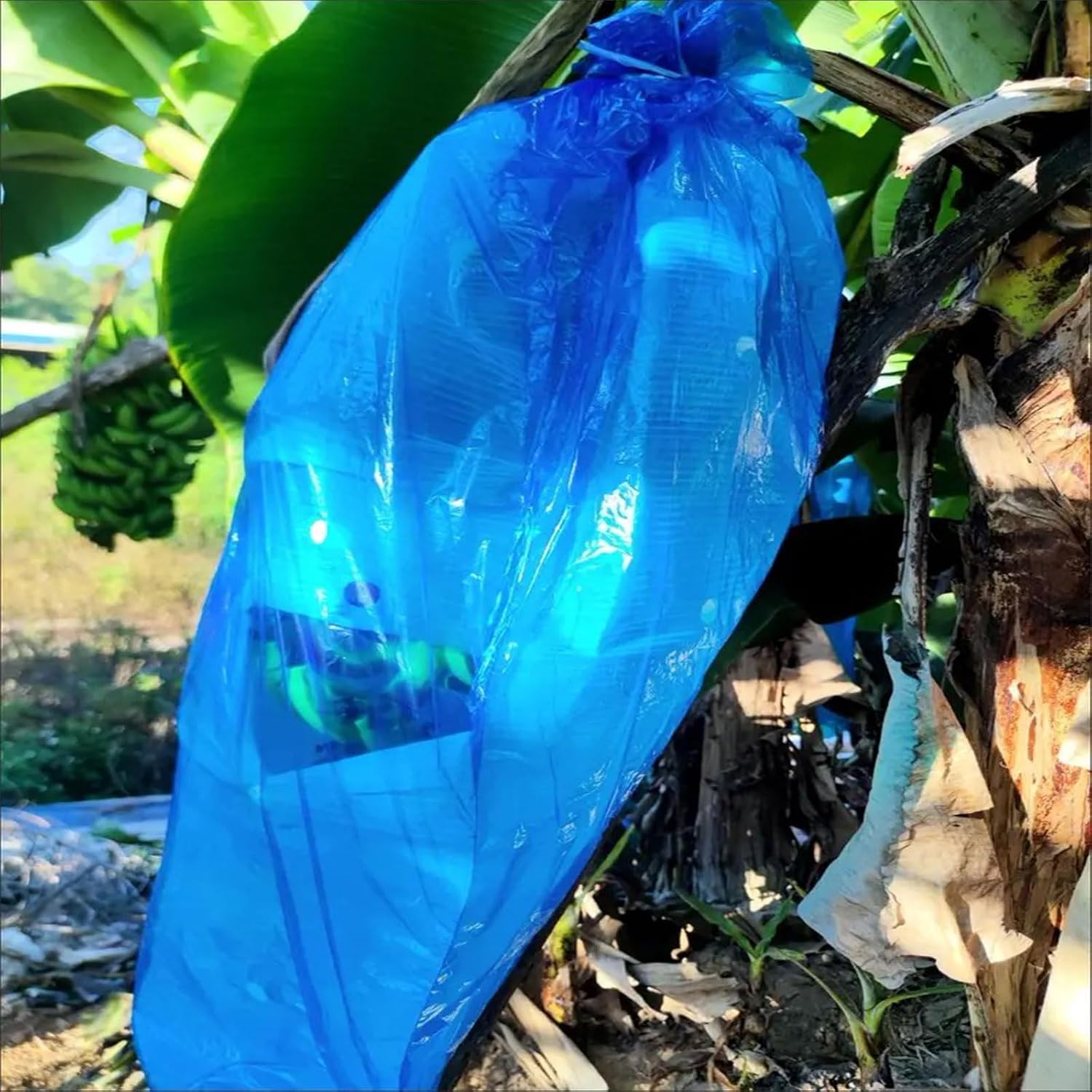 5PCS Banana Grow Bag, Plastic Protection Cover Ripening Netting, 150 * 80cm/59 * 31in. Sun Protection Fruit Keeper