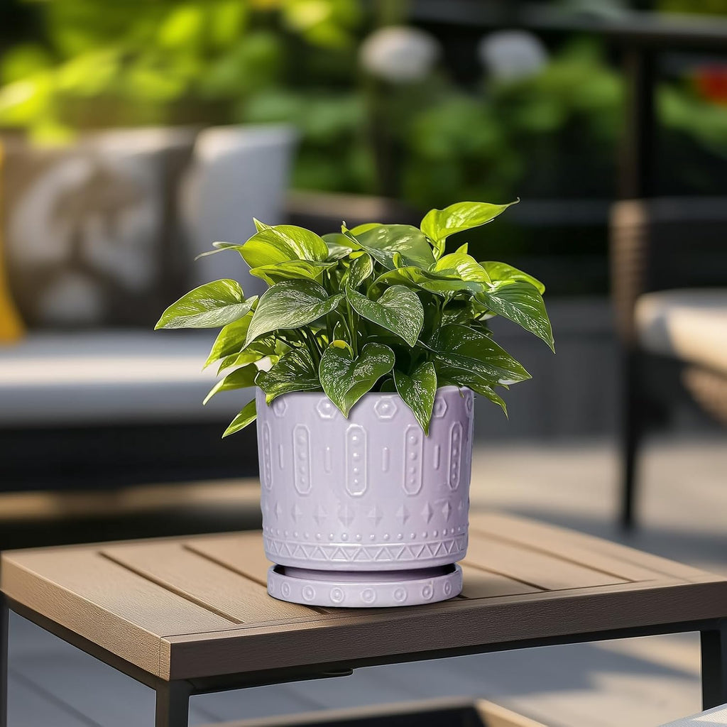 Eightpot Ceramic Pots for Plants, 6 Inch Plant Pot for Indoor Outdoor Plants, Round Planter with Drainage Holes and