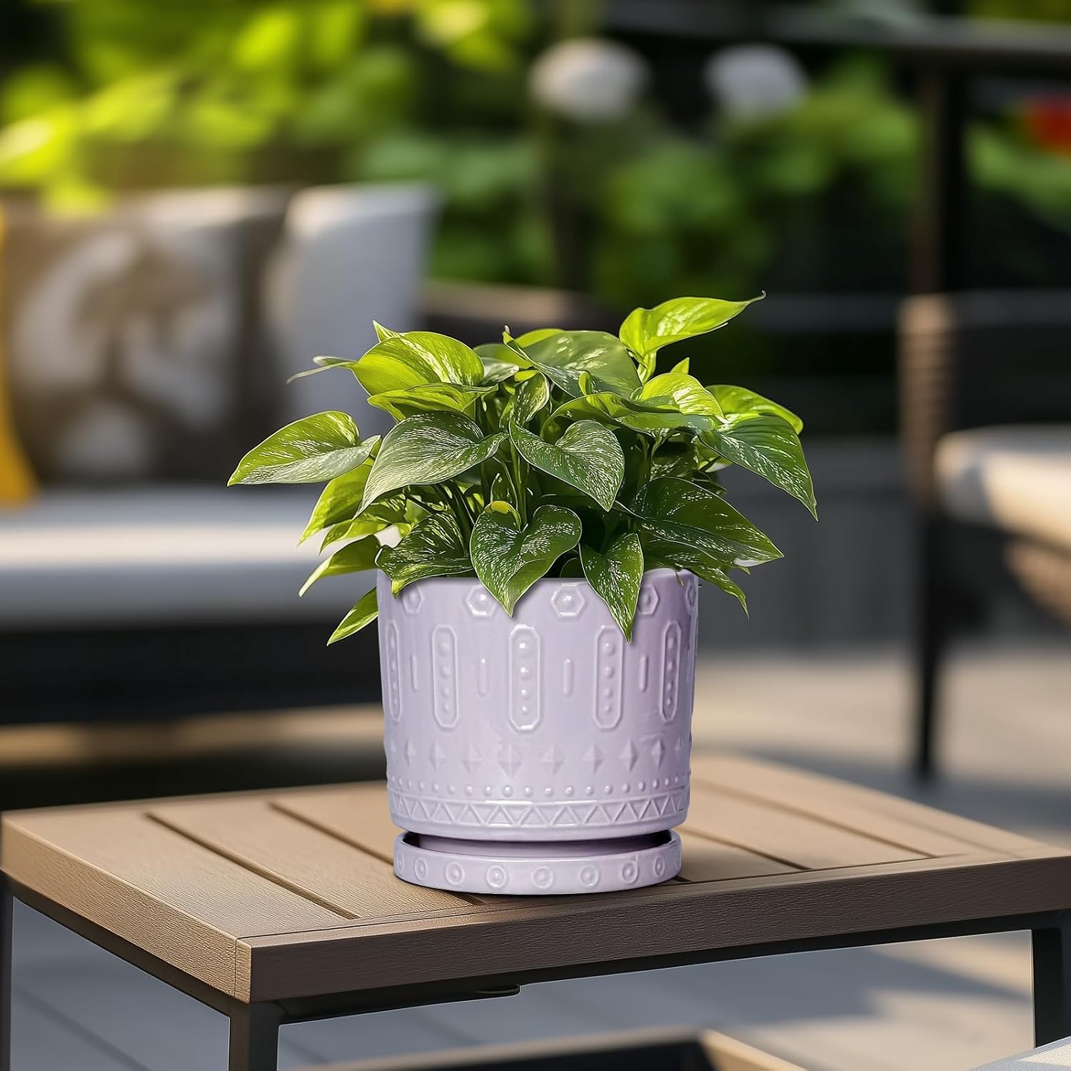 Eightpot Ceramic Pots for Plants, 6 Inch Plant Pot for Indoor Outdoor Plants, Round Planter with Drainage Holes and