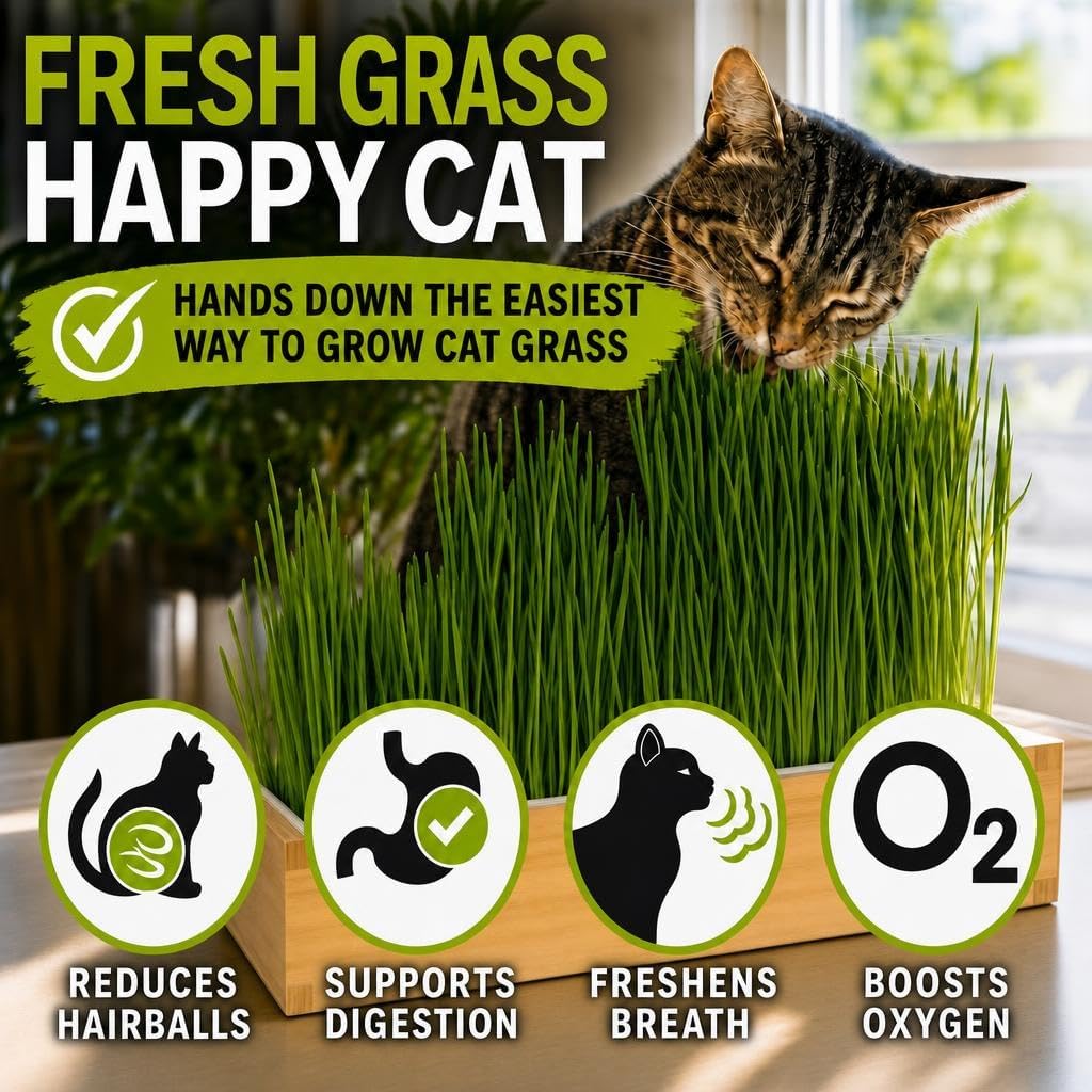 Cat Grass for Indoor Cats - Self-Watering Cat Grass Planter Kit | Reusable no-soil self-watering planter grows fresh