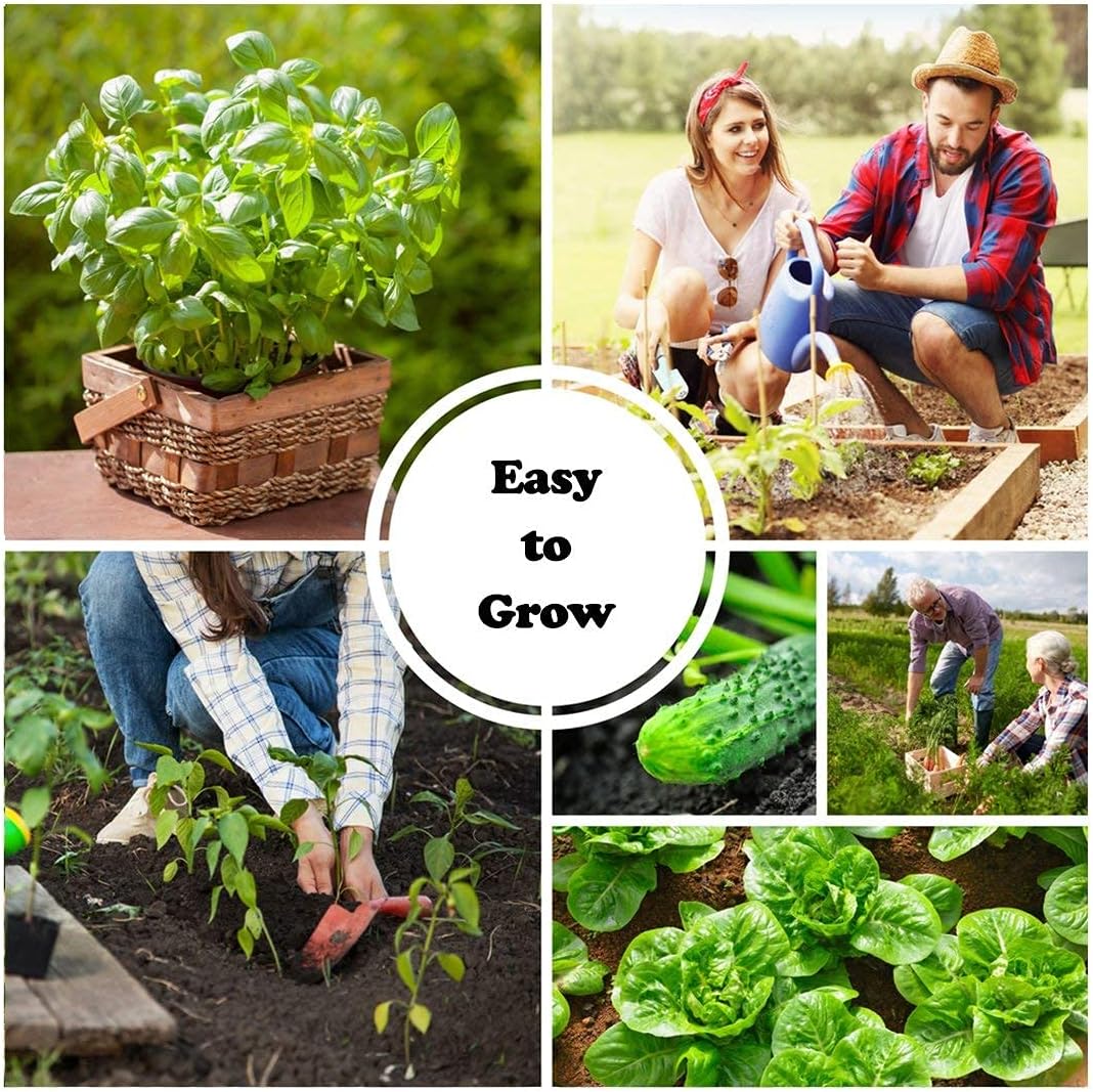 Sustainable Seed Co Instant Garden, Heirloom Vegetable Seed Collection, 15 | Variety Non GMO Heirloom Garden Vegetable
