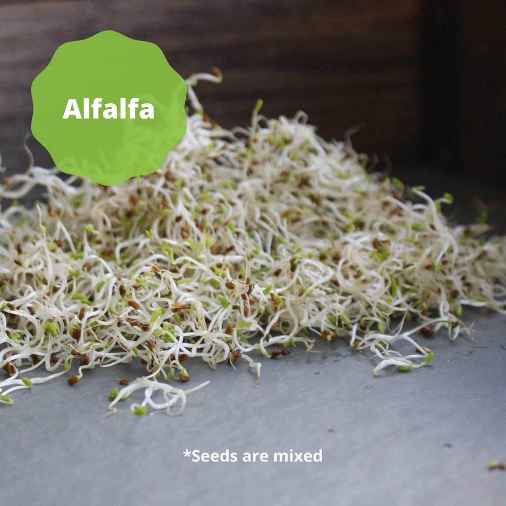 Handy Pantry Organic Salad Sprouting & Microgreens Mix – 5 LB – Non-GMO | High-Germination Blend of Alfalfa, Broccoli