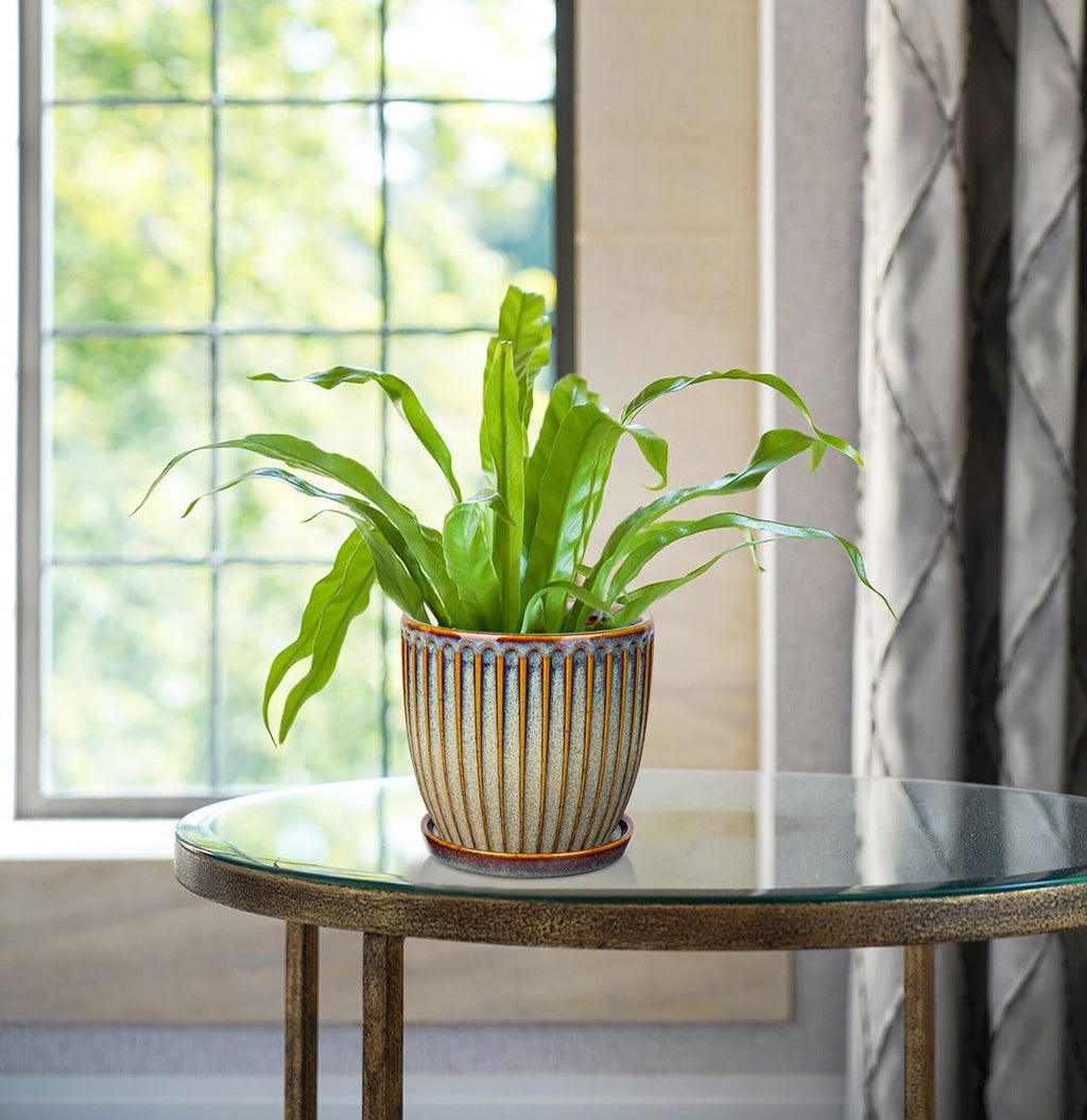Oairse Ceramic Pots for Indoor Plants, 4.9 +5.7 inch Set of 2 Brown Plant Pots with Drainage Holes and Saucers Texture