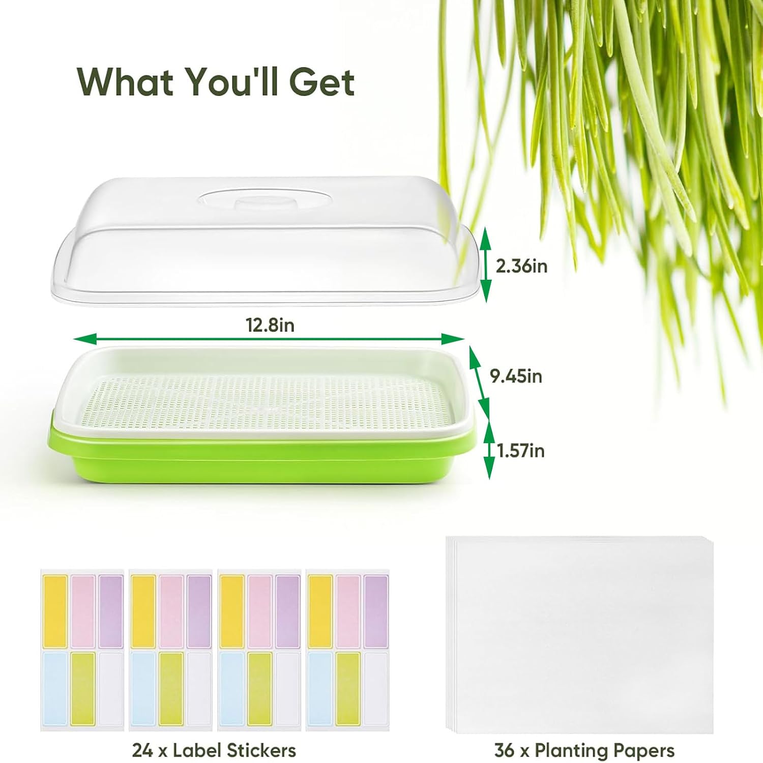 12 Pack Green Seed Sprouter Trays with Lid, Soil-Free Cultivation Germination Tray, Fodder Sprouting Trays Nursery Tray