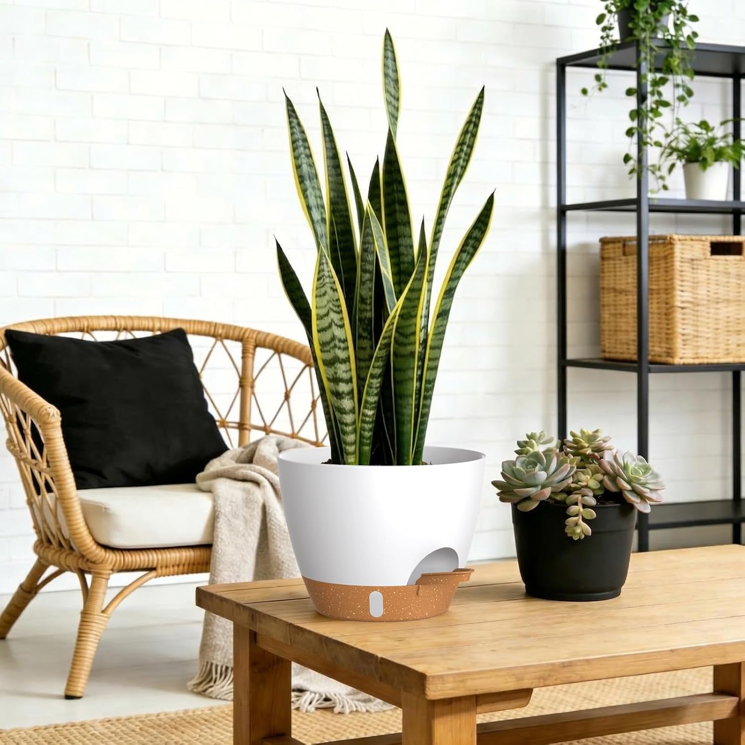 Self Watering Pots with Drainage Holes, 3 Pack 12/10/8 Inch Plant Pots with Water Level Indicator Deep Reservoir, Large