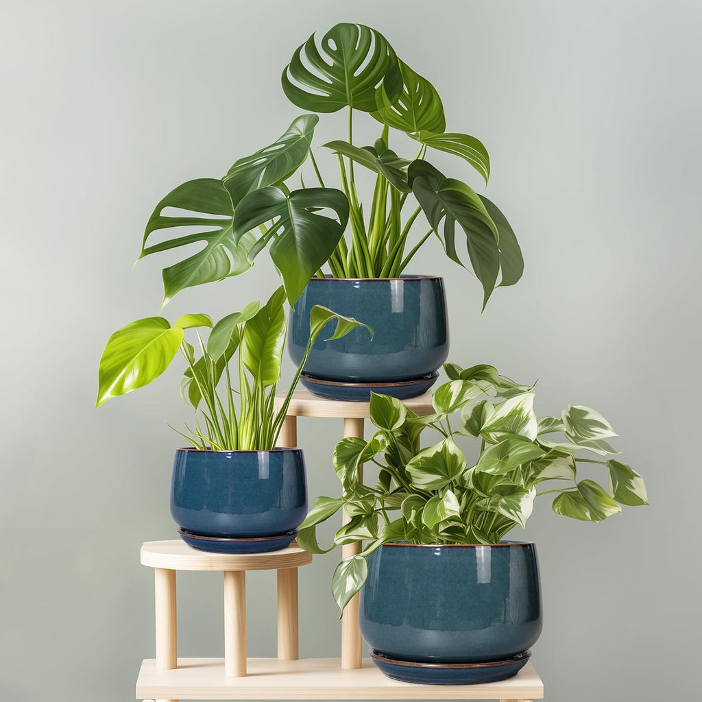G EPGardening Ceramic Pot for Plants - Modern 7 Inch Round Planter with Drainage and Tray Indoor Outdoor for Flower