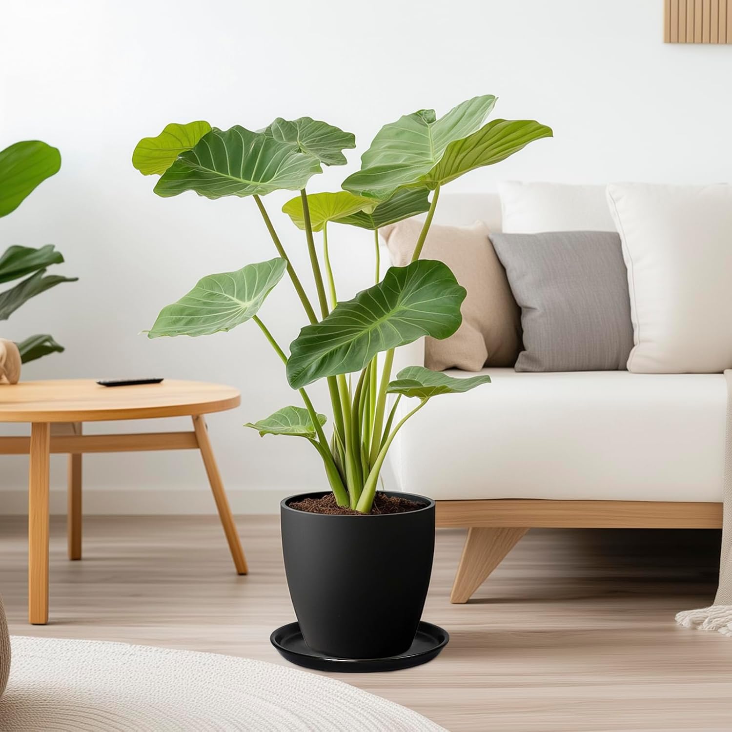 Flower Pot Saucer 12 Inch - Ceramic Plant Saucer for Outdoors Plant Drip Tray for Pots Indoor No Holes Large Plant