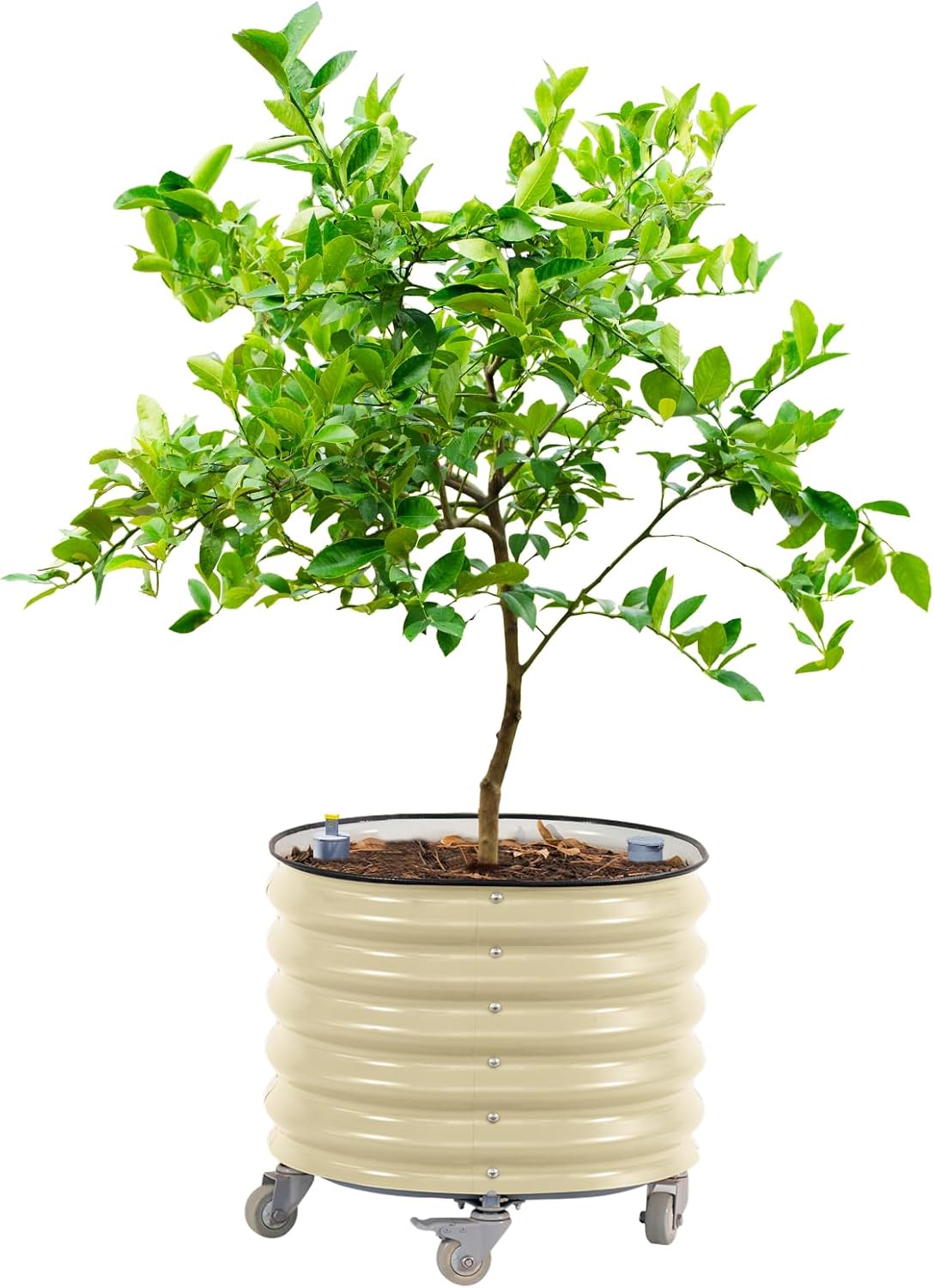 White Christmas Bucket Planters, 6 Pack Galvanized Metal Pots Holiday Decor