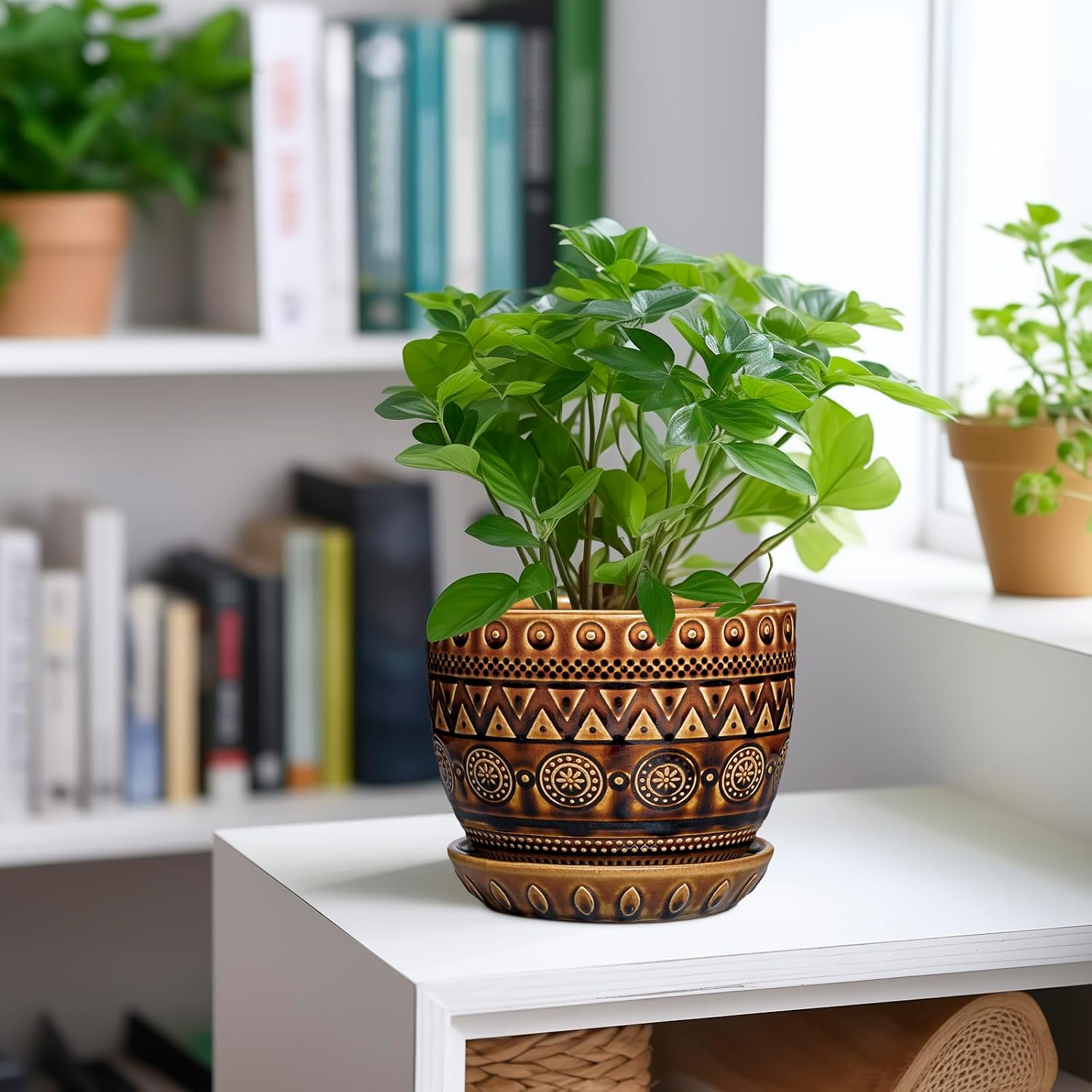 G EPGardening Ceramic Pot for Plants 5.5 Inch - Ceramic Plant Pot with Drainage Hole and Saucer, Boho Round Planter for