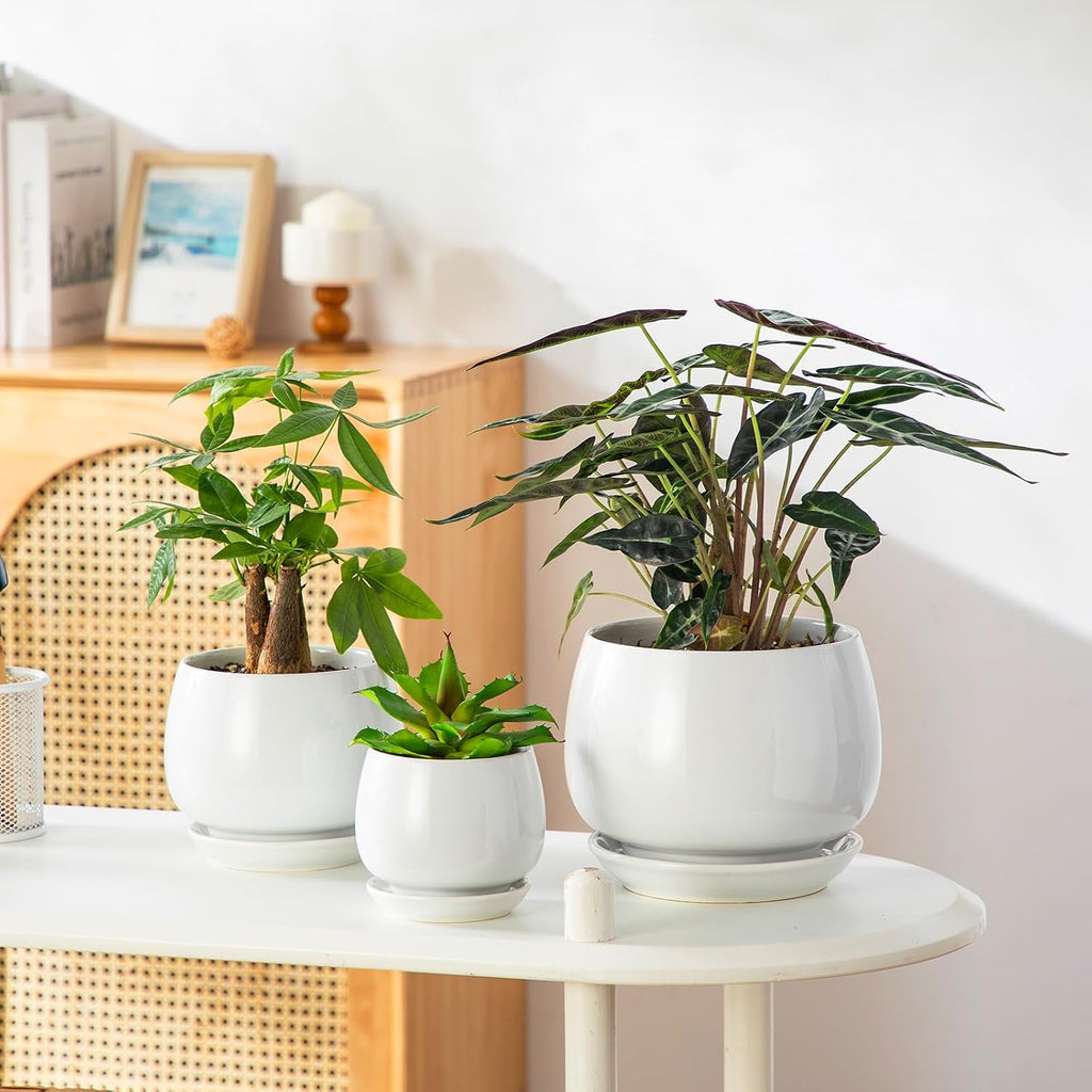 vancasso 3-Pack Ceramic Plant Pots, 3.7/4.8/6.2 Inch Indoor Planters with Saucers & Drainage Hole Planter pots for