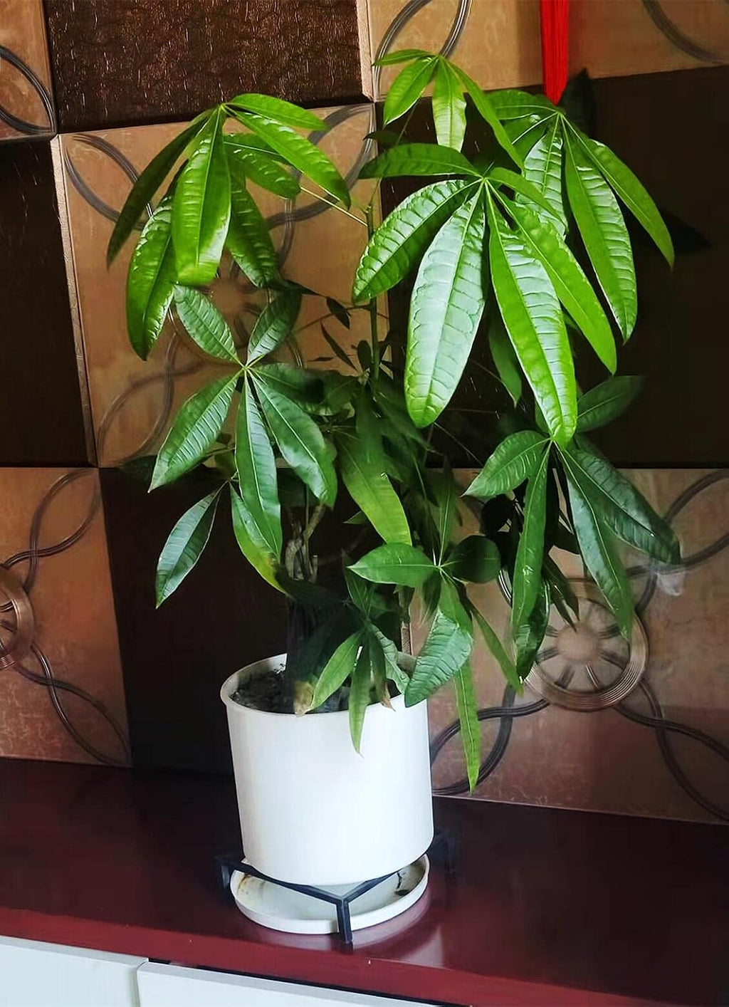 TenFuju 9.8" Metal Heavy Duty Potted Plant Stand Flower Pot Holder with Saucer Indoor Outdoor Rustproof Iron Garden