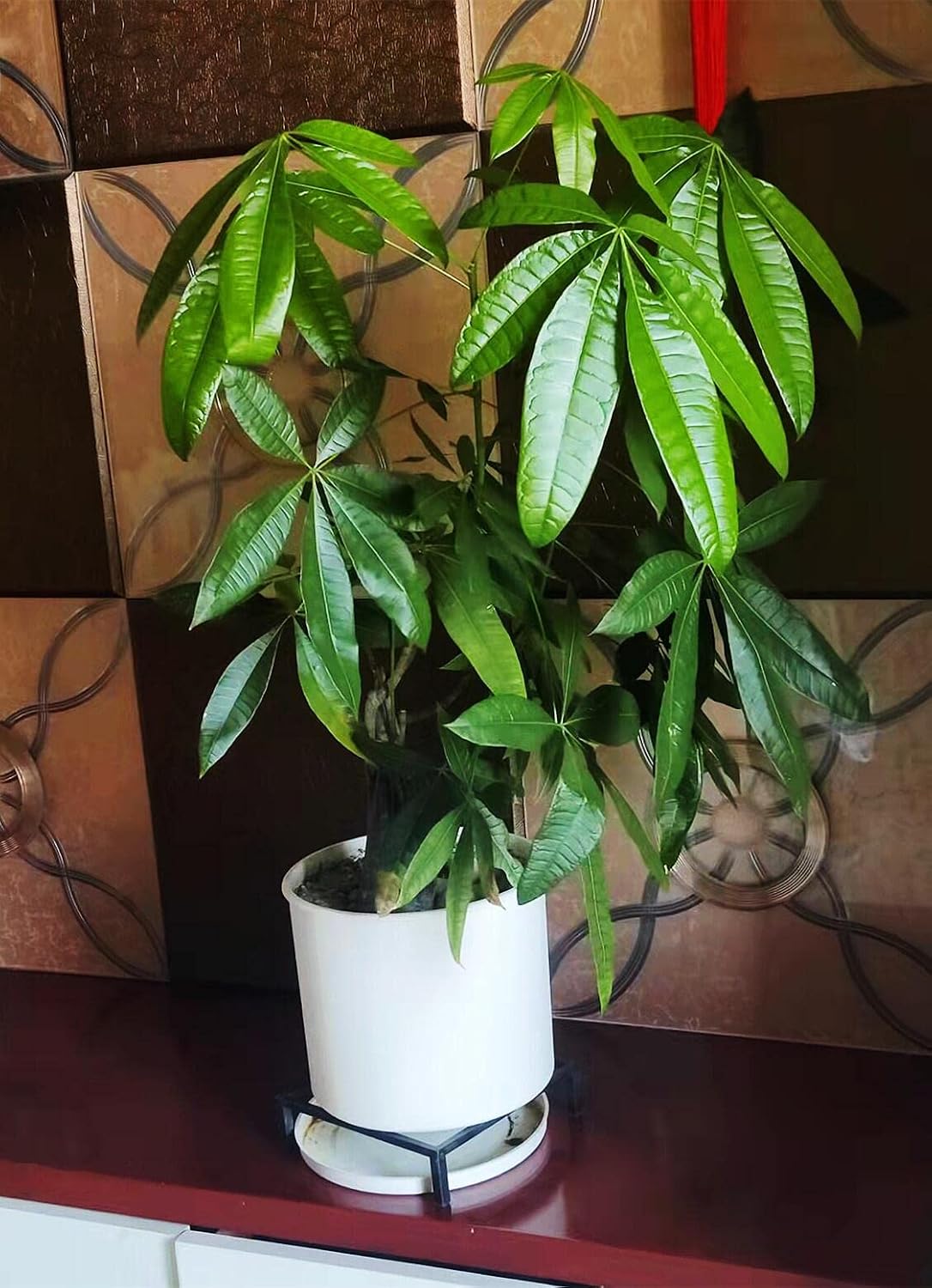 TenFuju 9.8" Metal Heavy Duty Potted Plant Stand Flower Pot Holder with Saucer Indoor Outdoor Rustproof Iron Garden