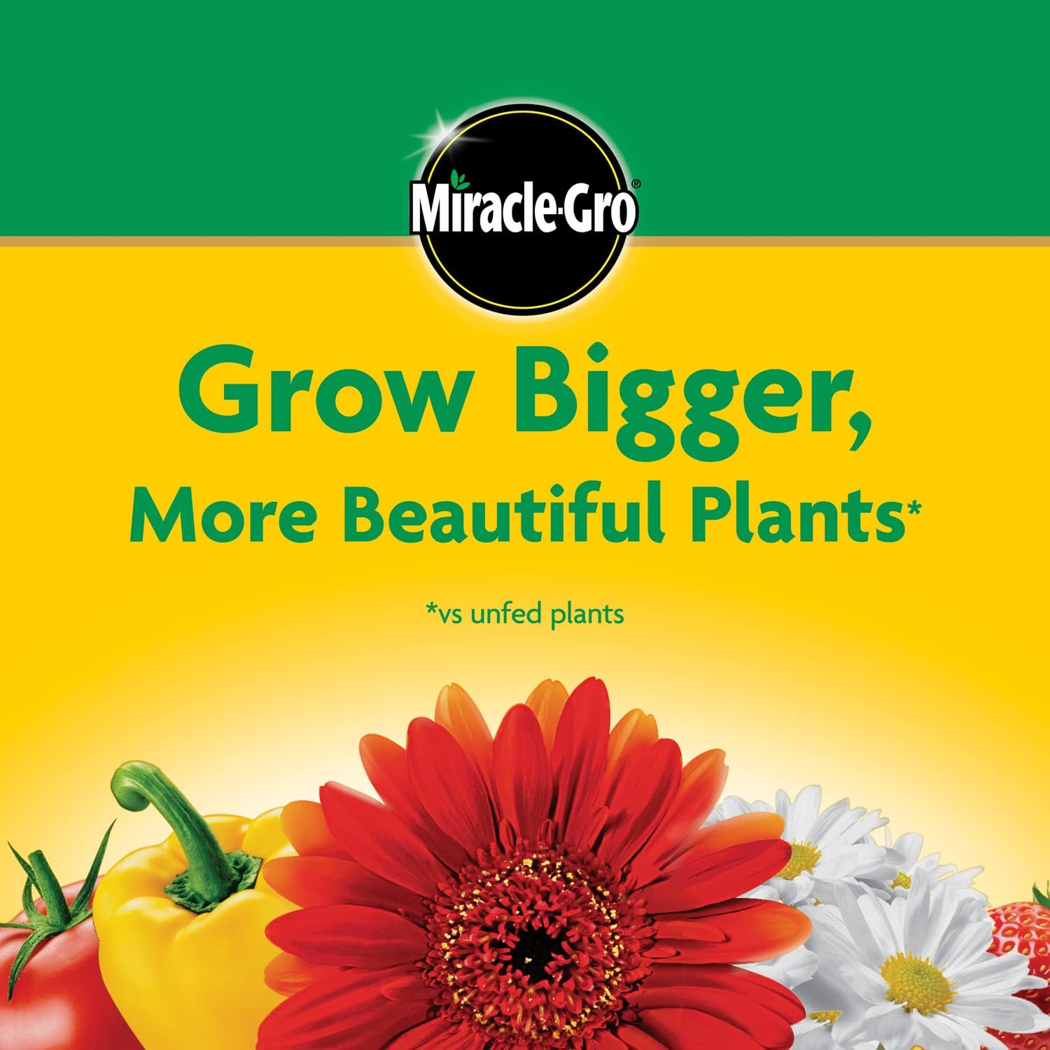Gro Water Soluble All Purpose Plant Food, 10 lb. | Fertilizer For All Indoor or Outdoor Plants including Roses