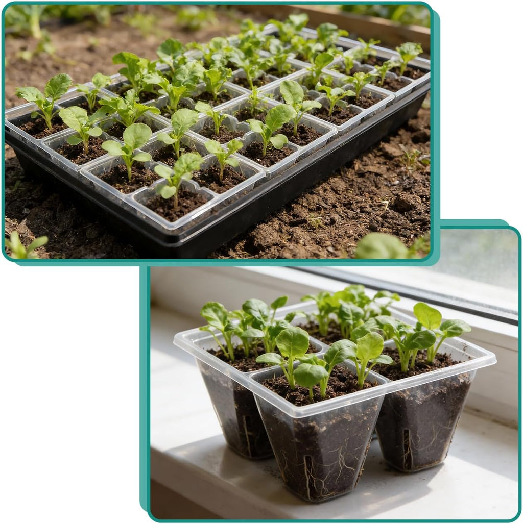 RooTrimmer 40 Pack Reusable 4-Cell Seed Starter Trays with Large Drainage Holes - Clear Transparent Trays for Root