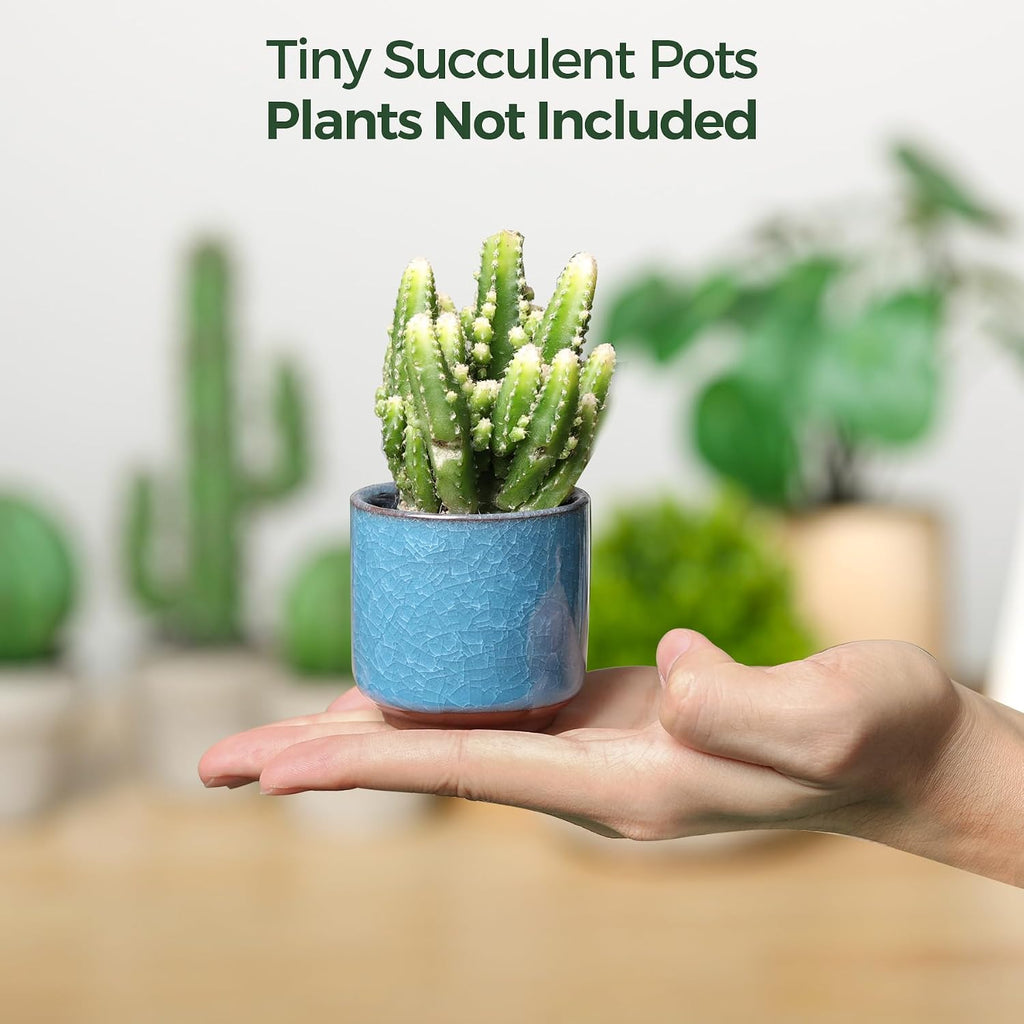 T4U 2.5 Inch Small Ceramic Succulent Planter Pot with Drainage Hole Set of 12, Ice Crack Glaze Plant Container for