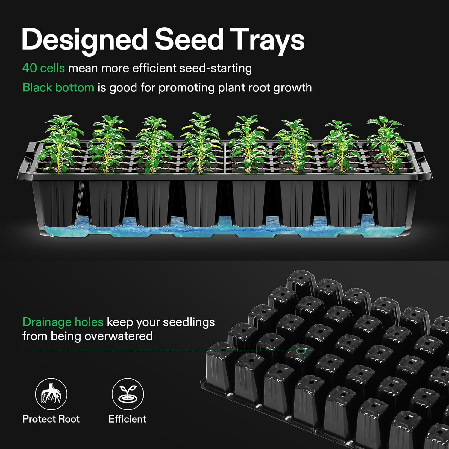 VIVOSUN 6-Pack Seed Starter Kit, 240-Cell Tray, 2 Set of LED Lights | 3.6" Higher Cover, Adjustable Vents, Drainage