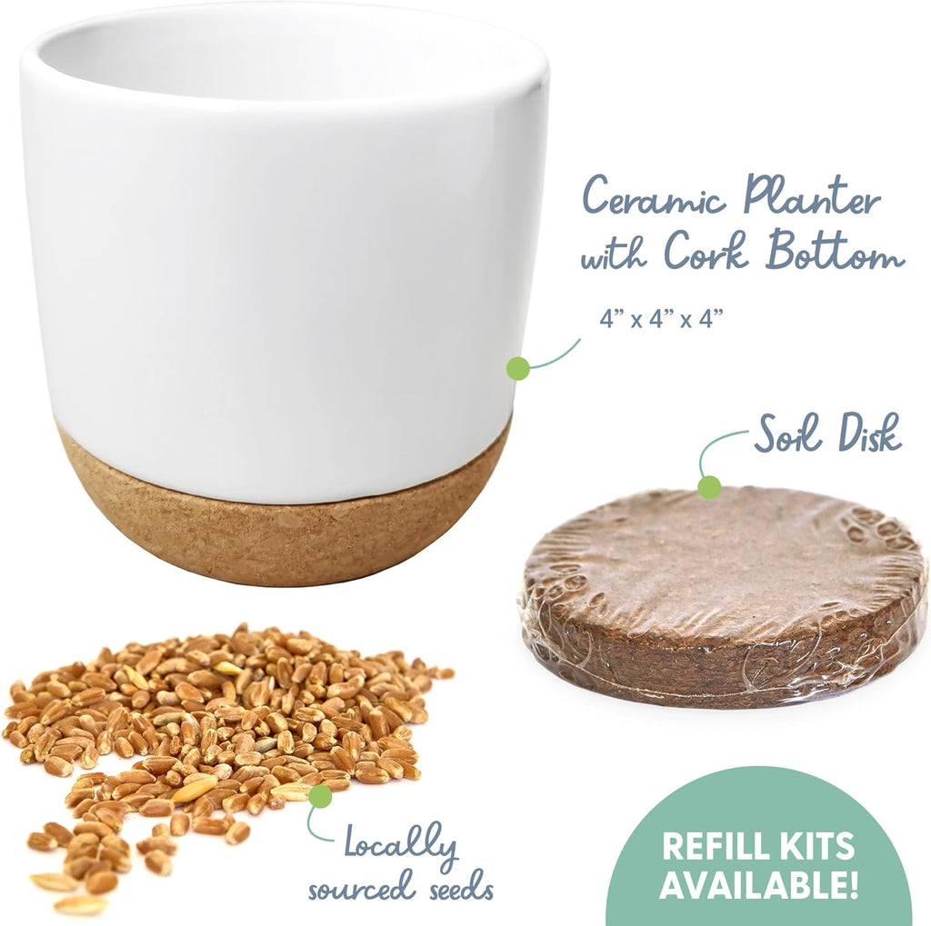 The Cat Ladies Cat Grass for Indoor Cats Kit with Organic Cat Grass Seed Mix, Soil and Ceramic & Cork Planter, Natural
