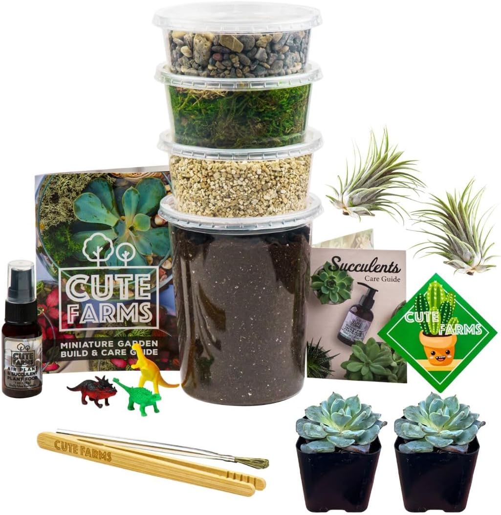Terrarium Starter Kit | Moss, Vermiculite, Soil, Pebbles, Plant Food, Finishing Tools, Build and Care Guide | DIY