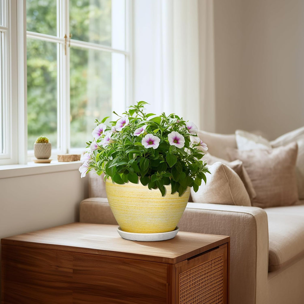 Ceramic Plant Pots - 8 Inch Planter with Drainage Hole and Tray, Decorative Pots for Plants Indoor Outdoor, Round