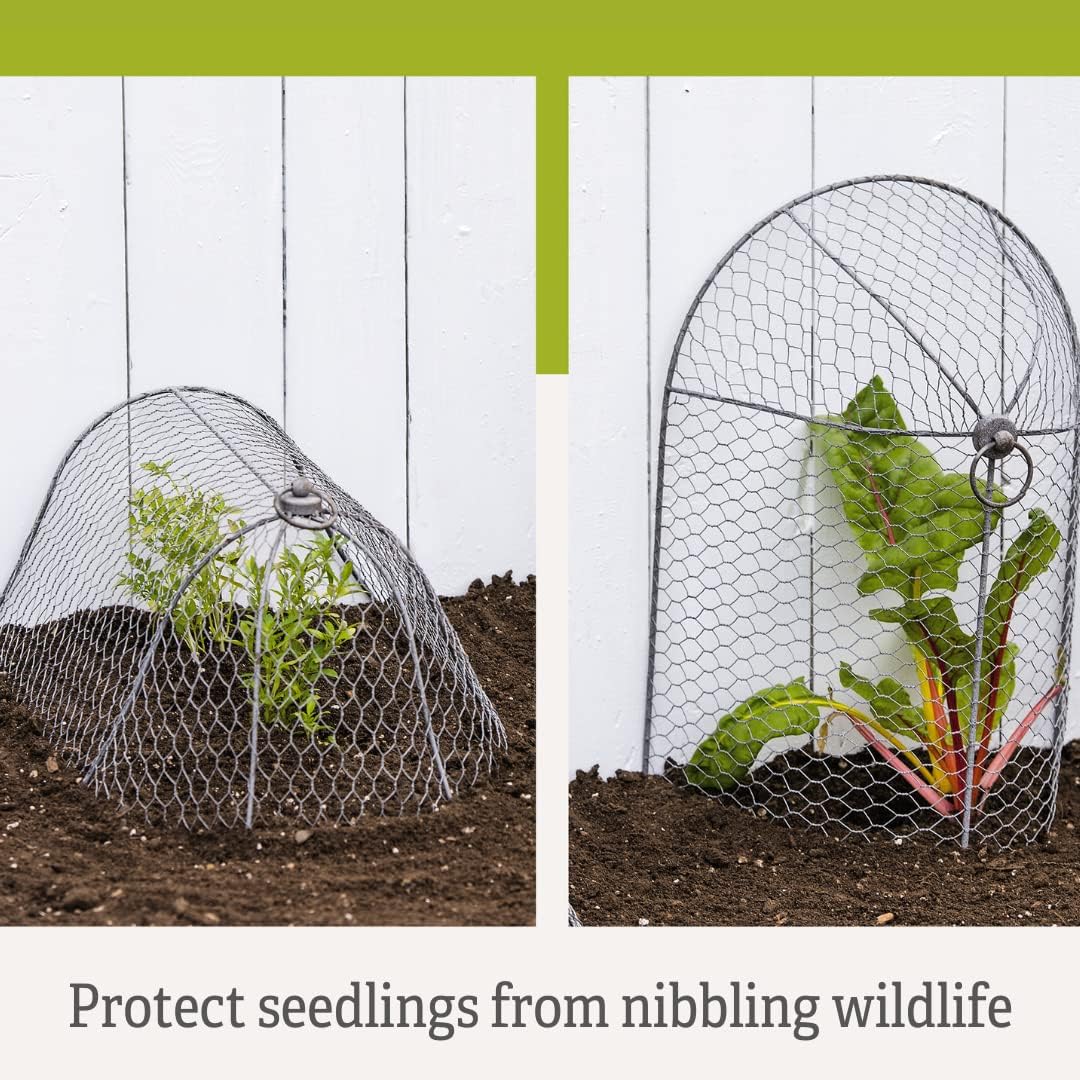 Gardener’s Supply Company Chicken Wire Cloche Garden Row Plant Protector | Sturdy Metal Protection for Seedlings and