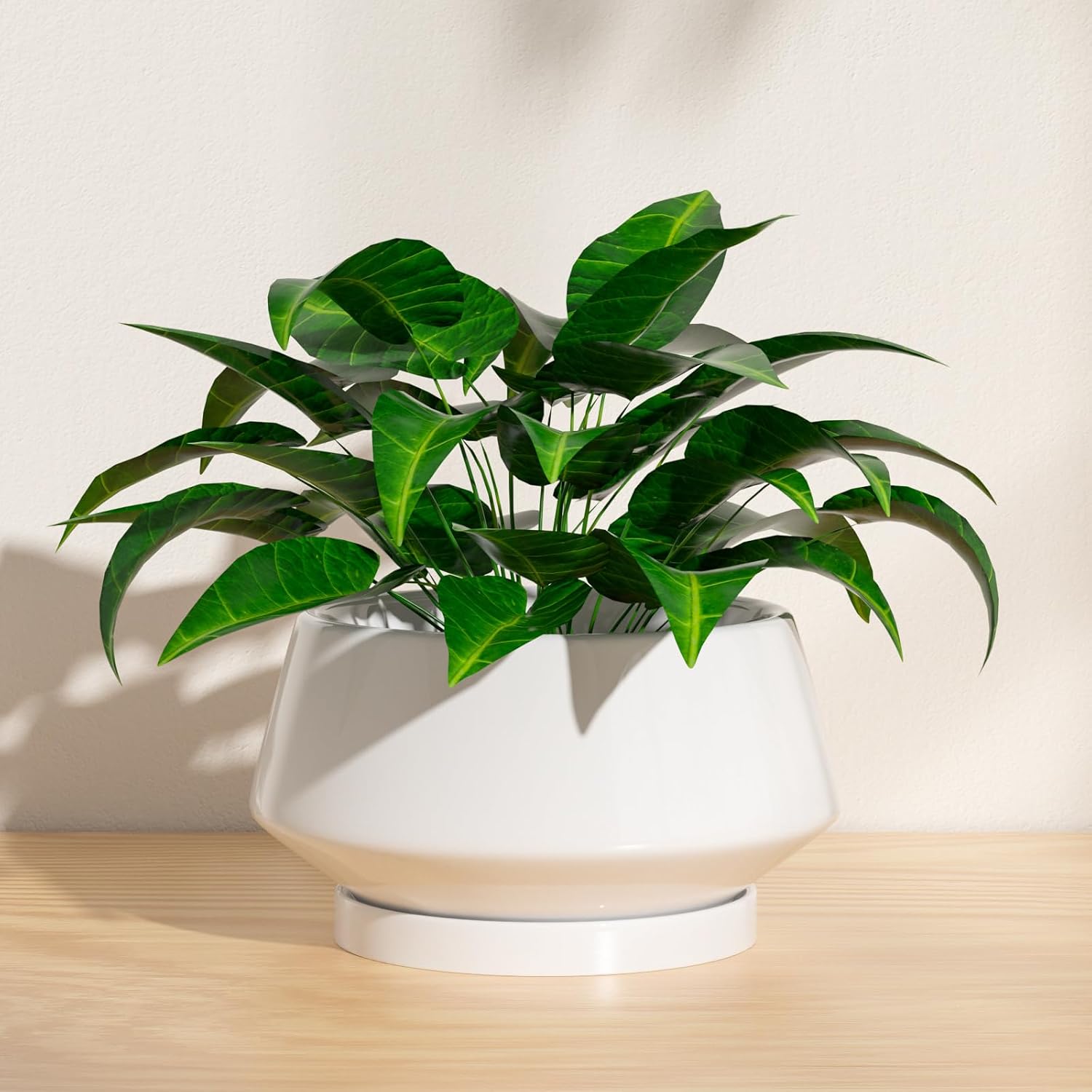 8.3 Inch White Ceramic Planter with Drainage Hole and Saucer | Ideal for Indoor and Outdoor Plants, Modern Home Decor