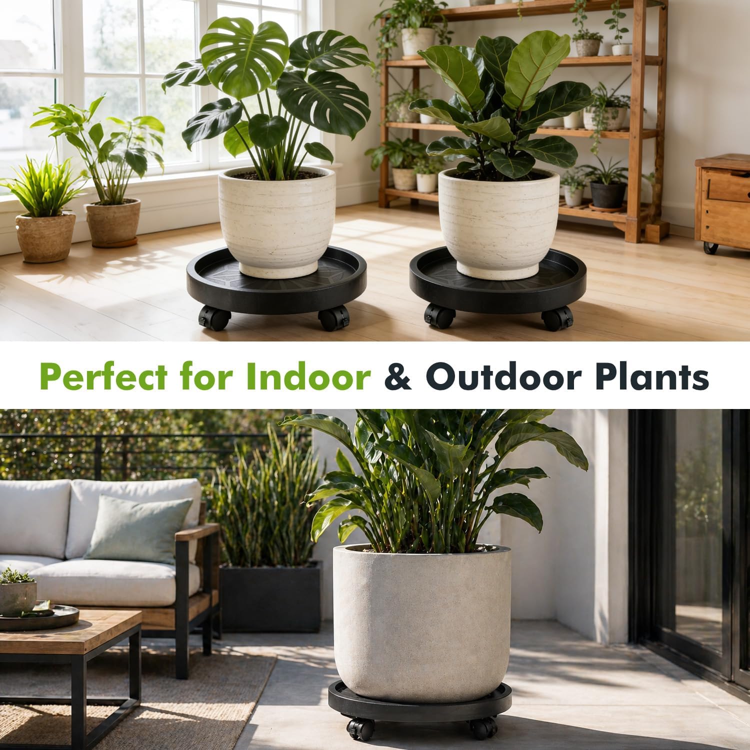Planterhoma 5 Packs 12 Inch Plant Caddy with Wheels Rolling Plant Stand Wheeled Plant Dolly Heavy-Duty Large Pot Mover