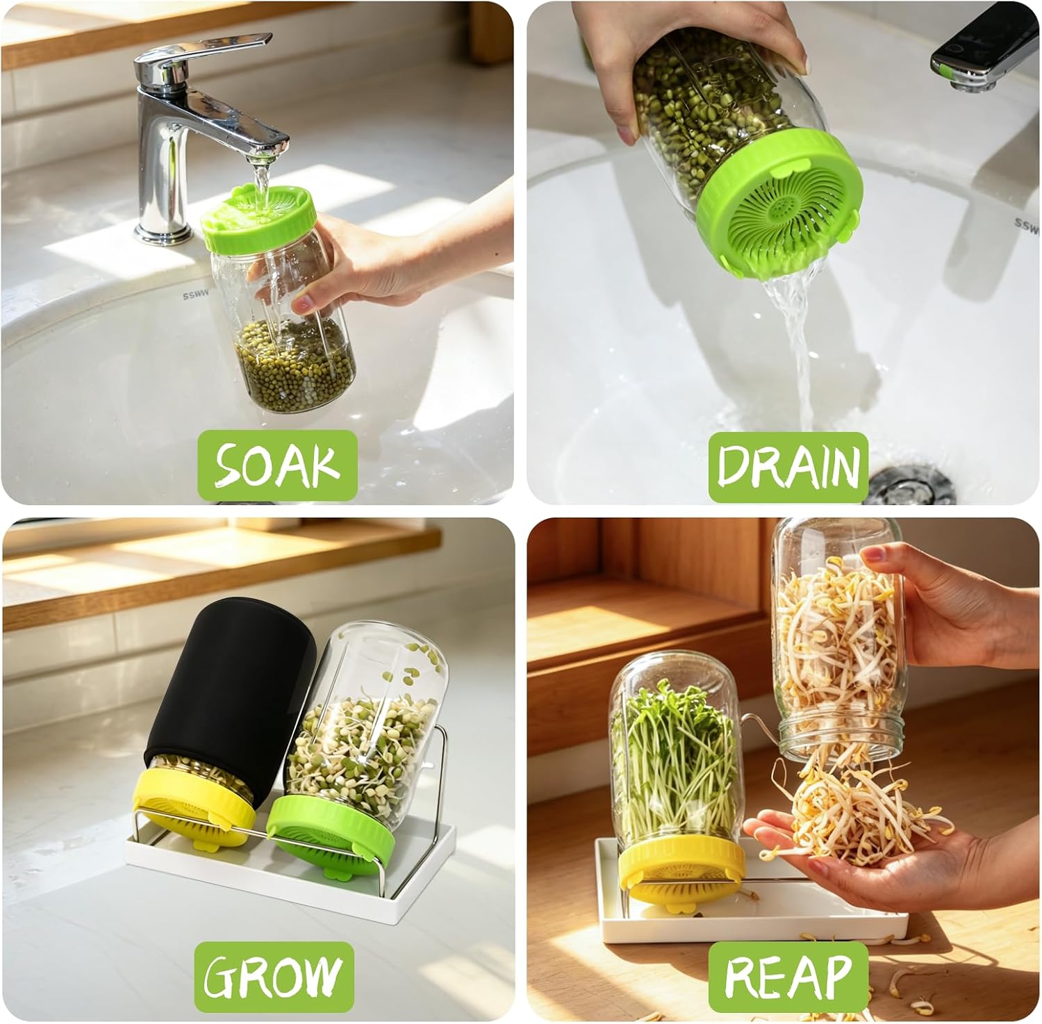 Seed Sprouting Kit - 2×32 Oz Wide-Mouth Mason Jars with Sprouter Lids, Stand, Sprout Tray & Light Shield, for Broccoli